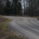 Illustration for article titled CRC 2015 Rally of the Tall Pines Photodump